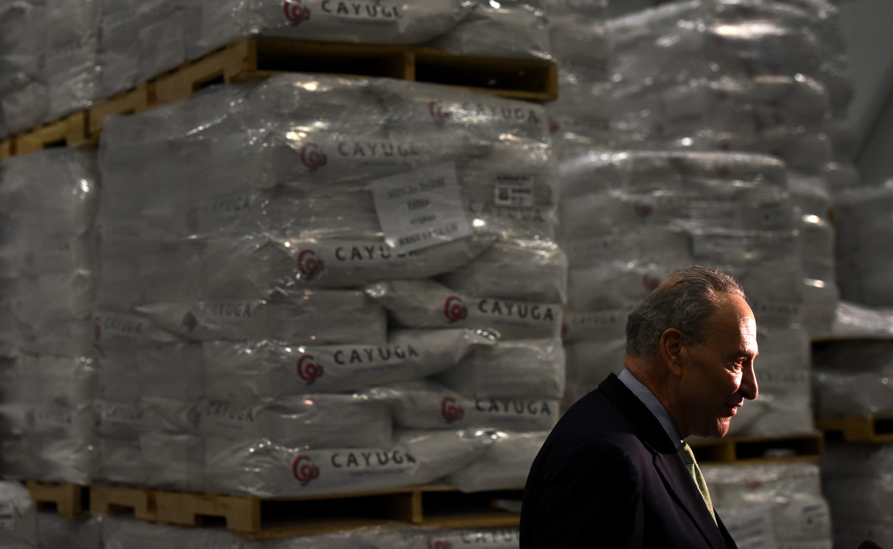 Senator Schumer 4.JPG